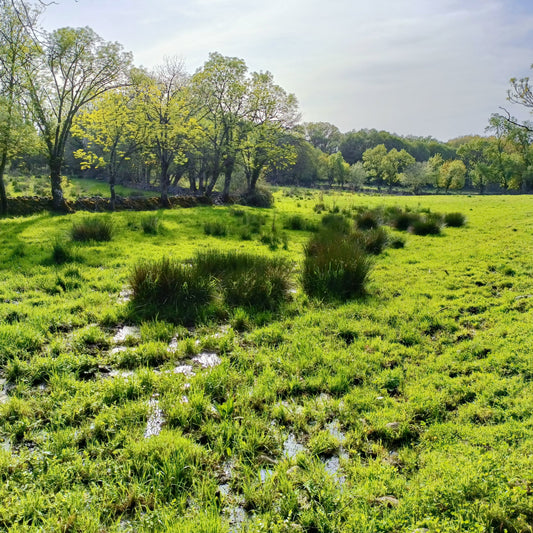 El ciclo de vida de una prenda sostenible