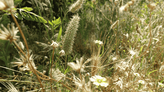 El armario que florece | Reinventa el cambio de estación con Nekolindo