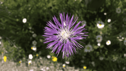 Ecoalf y Nekolindo: Dos formas de vivir la moda sostenible