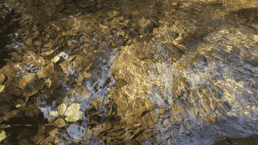 Del campo al código: cómo la moda sostenible se reinventa con herramientas digitales