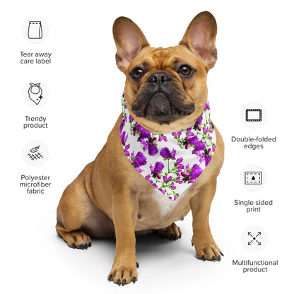 Bandana sostenible | Buglosas – Diseño Nekolindo